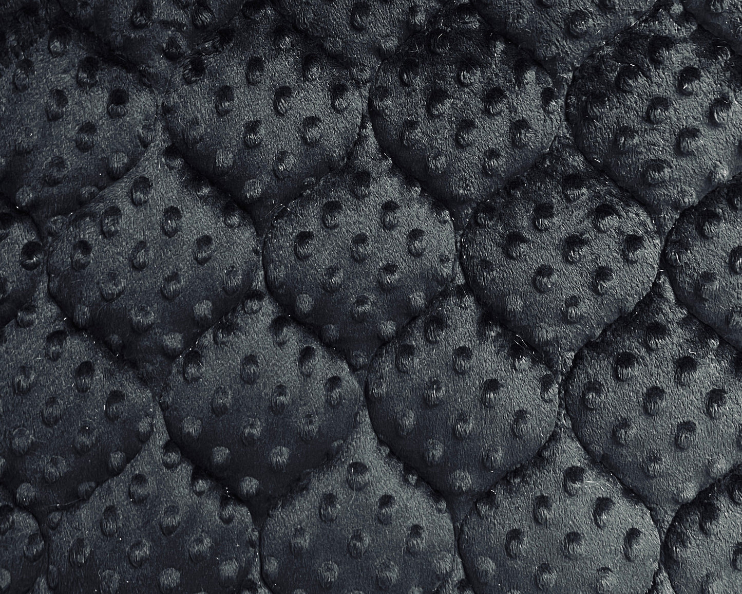 Custom Size Minky Beds