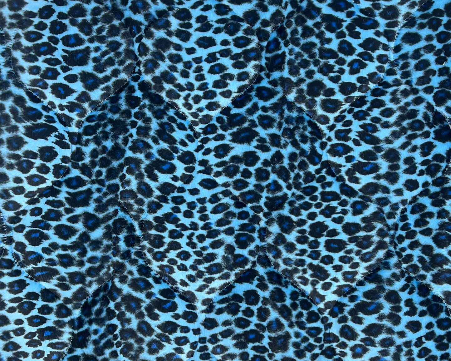 Blue cheetah.jpg