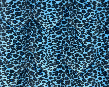 Blue cheetah.jpg