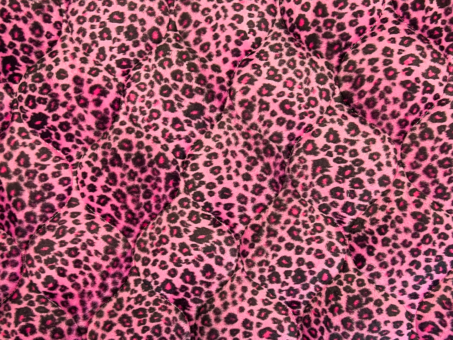 Pink cheetah.jpg