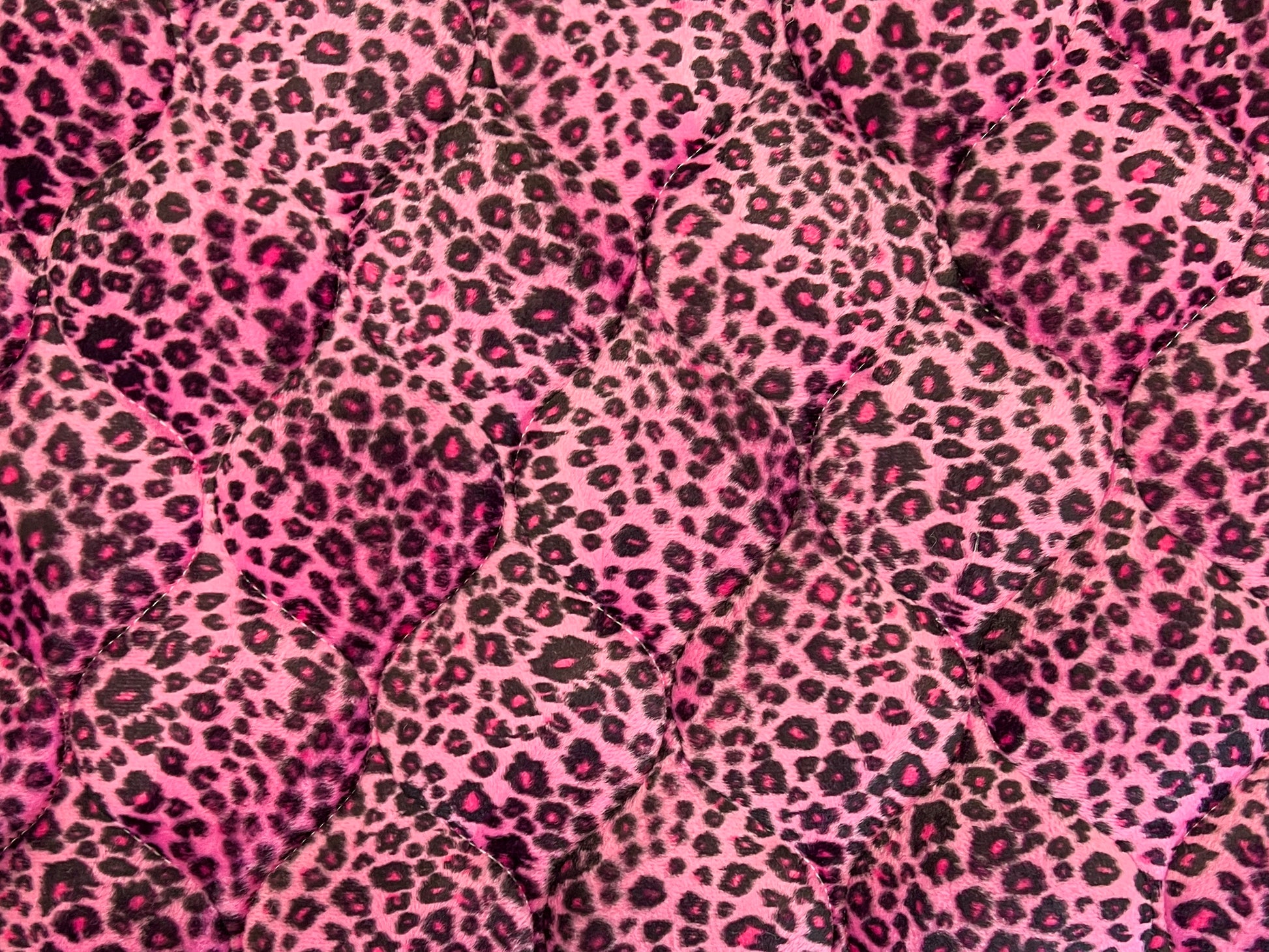 Pink cheetah.jpg