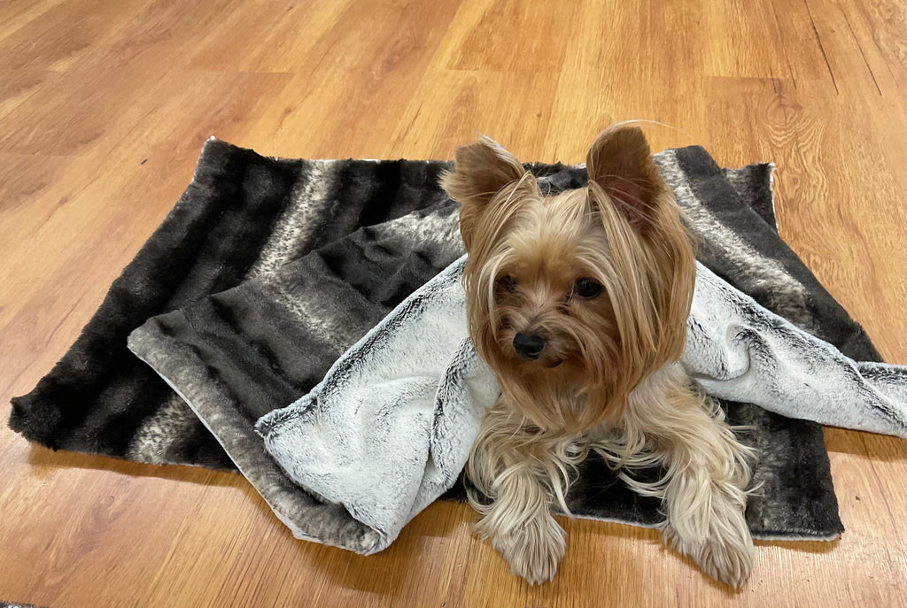 Minky Puppy Buddies Minky Blankets FMS Dog Beds