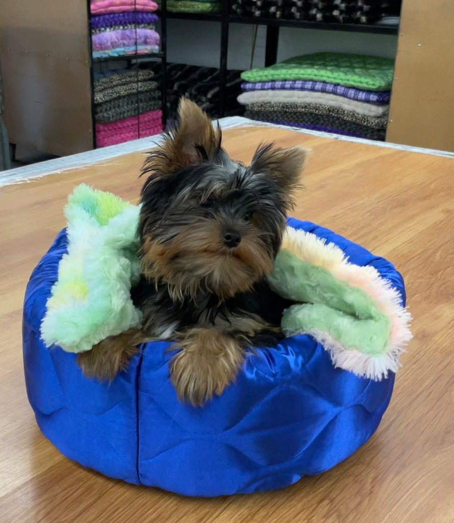 Minky Puppy Buddies Minky Blankets - FMS Dog Beds